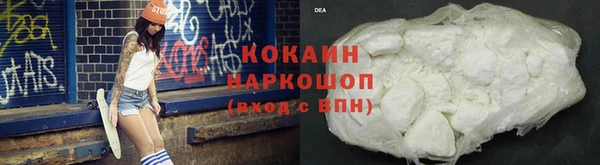 сатива Ростов