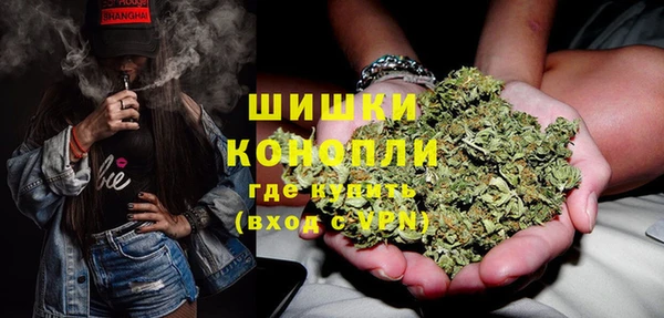 МДПВ Абаза